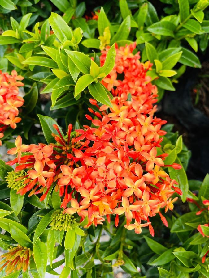 Jardin De Primavera Apartamentos エクステリア 写真
